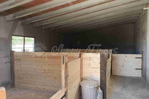 Landejendom i Yecla, Murcia, Yecla - € 219.000 | Ref: SF0531 - foto 18